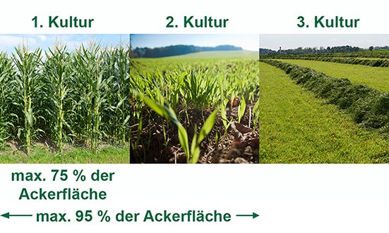 Gafik Greening Anbaudiversifizierung über 30 ha.jpg