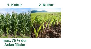 Anbaudiversifizierung bis 30 ha