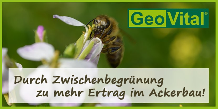 GeoVital_Startseite Kopie_n