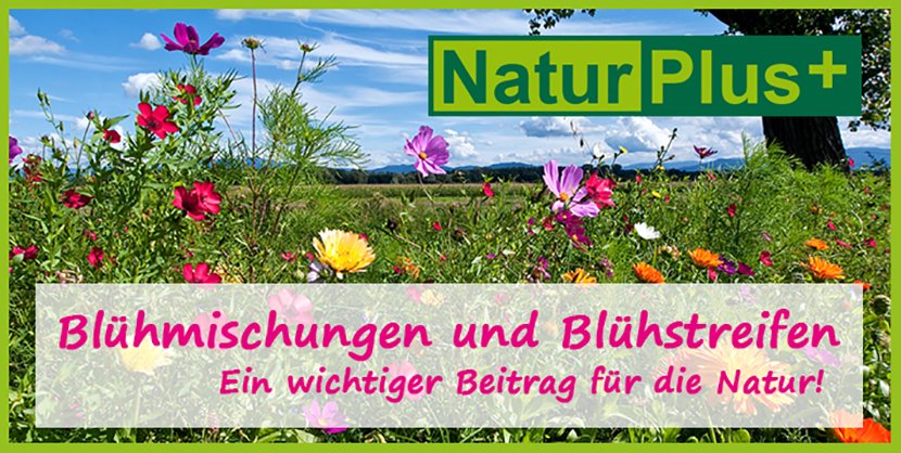 NaturPlus_Startseite Kopie_n