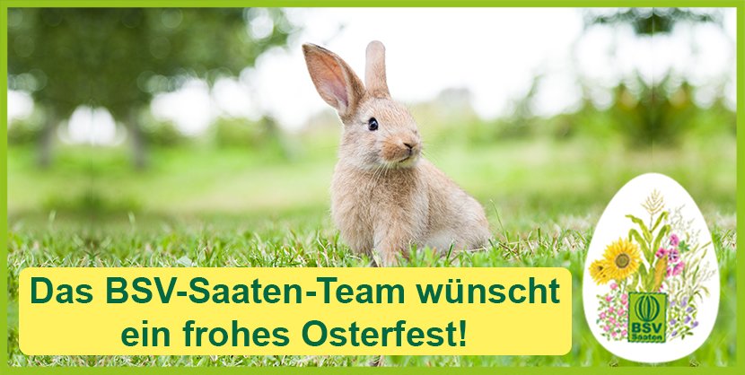 Startseite_frohe Ostern_n Kopie