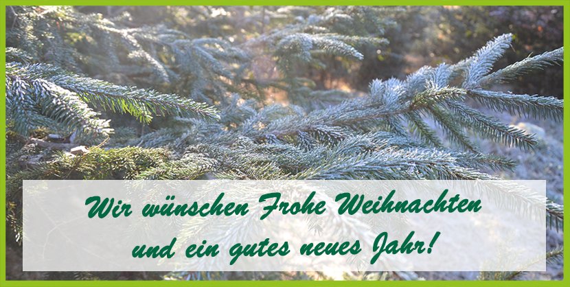 Weihnachten_2025